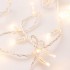 Уличная светодиодная гирлянда Ardecoled нить 230V теплый белый ARD-String-Classic-10000-Clear-100Led-Std Warm 025779 - изображение 2 Уличная светодиодная гирлянда Ardecoled нить 230V теплый белый ARD-String-Classic-10000-Clear-100Led-Std Warm 025779 - изображение 2