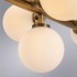 Подвесная люстра Arte Lamp Bolla-Piccolo A3988SP-16AB - изображение 2 Подвесная люстра Arte Lamp Bolla-Piccolo A3988SP-16AB - изображение 2
