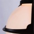 Уличный подвесной светильник Arte Lamp Monaco A1495SO-1BK - изображение 2 Уличный подвесной светильник Arte Lamp Monaco A1495SO-1BK - изображение 2