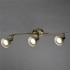 Спот Arte Lamp Focus A5219PL-3AB - изображение 3 Спот Arte Lamp Focus A5219PL-3AB - изображение 3