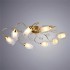Потолочная люстра Arte Lamp Mughetto A9289PL-8GO - изображение 2 Потолочная люстра Arte Lamp Mughetto A9289PL-8GO - изображение 2