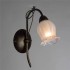 Бра Arte Lamp 83 A7449AP-1BR - изображение 4 Бра Arte Lamp 83 A7449AP-1BR - изображение 4