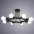 Потолочная люстра Arte Lamp A6063PL-8BK - изображение 2 Потолочная люстра Arte Lamp A6063PL-8BK - изображение 2