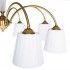 Потолочная люстра Arte Lamp Gracie A7301PL-8PB - изображение 4 Потолочная люстра Arte Lamp Gracie A7301PL-8PB - изображение 4