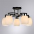 Потолочная люстра Arte Lamp Krit A4505PL-5BK - изображение 3 Потолочная люстра Arte Lamp Krit A4505PL-5BK - изображение 3