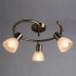 Спот Arte Lamp Parry A5062PL-3AB - изображение 2 Спот Arte Lamp Parry A5062PL-3AB - изображение 2