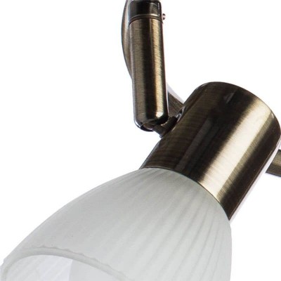 Спот Arte Lamp Parry A5062PL-3AB - изображение 3 Спот Arte Lamp Parry A5062PL-3AB - изображение 3