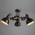Потолочная люстра Arte Lamp Martin A5216PL-3BR - изображение 2 Потолочная люстра Arte Lamp Martin A5216PL-3BR - изображение 2