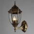 Уличный настенный светильник Arte Lamp Pegasus A3151AL-1BN - изображение 3 Уличный настенный светильник Arte Lamp Pegasus A3151AL-1BN - изображение 3