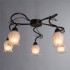 Потолочная люстра Arte Lamp 83 A7449PL-5BR - изображение 5 Потолочная люстра Arte Lamp 83 A7449PL-5BR - изображение 5
