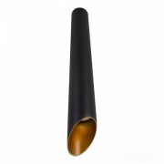 Потолочный светильник Arte Lamp Pilon-Gold A1537PL-1BK