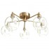 Потолочная люстра Arte Lamp 56 A8564PL-5RB - изображение 4 Потолочная люстра Arte Lamp 56 A8564PL-5RB - изображение 4