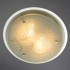 Потолочный светильник Arte Lamp A4865PL-2CC - изображение 2 Потолочный светильник Arte Lamp A4865PL-2CC - изображение 2