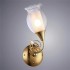 Бра Arte Lamp Mughetto A9289AP-1GO - изображение 2 Бра Arte Lamp Mughetto A9289AP-1GO - изображение 2