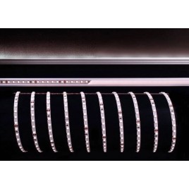 Лента светодиодная Deko-Light 3528-120-24V-6200K-5m 840161