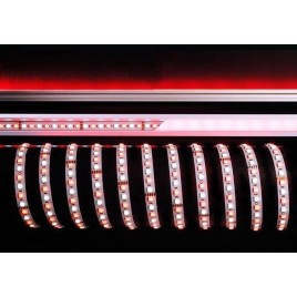 Лента светодиодная Deko-Light 5050-96-24V-RGB+6200K-3m 840215
