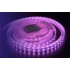 Светодиодная влагозащищенная лента DesignLed 14,4W/m 60LED/m 5050SMD разноцветный 5M 001489 - изображение 4 Светодиодная влагозащищенная лента DesignLed 14,4W/m 60LED/m 5050SMD разноцветный 5M 001489 - изображение 4