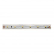 Светодиодная влагозащищенная лента DesignLed 4,8W/m 60LED/m 3528SMD холодный белый 5M 003110