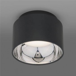 Потолочный светильник Elektrostandard Charlie 1069 GX53 GR графит 4690389167874