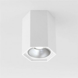 Потолочный светодиодный светильник Elektrostandard 25036/Led 4690389176487