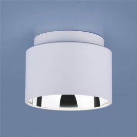 Потолочный светильник Elektrostandard 1069 GX53 WH белый матовый 4690389098512