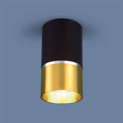 Потолочный светильник Elektrostandard DLN106 GU10 золото 4690389148590 - изображение 4 Потолочный светильник Elektrostandard DLN106 GU10 золото 4690389148590 - изображение 4