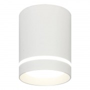 Потолочный светодиодный светильник Escada 20009SMU/01LED SWH