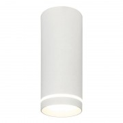 Потолочный светодиодный светильник Escada 20009SMU/02LED SWH