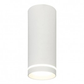 Потолочный светодиодный светильник Escada 20009SMU/02LED SWH
