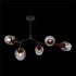 Потолочная люстра Evoluce Ciotolla SLE113402-05 - изображение 2 Потолочная люстра Evoluce Ciotolla SLE113402-05 - изображение 2