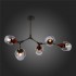 Потолочная люстра Evoluce Ciotolla SLE113402-05 - изображение 3 Потолочная люстра Evoluce Ciotolla SLE113402-05 - изображение 3