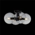 Потолочная люстра Evoluce Rosello SL424.402.04 - изображение 2 Потолочная люстра Evoluce Rosello SL424.402.04 - изображение 2