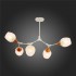 Потолочная люстра Evoluce Ciotolla SLE113502-05 - изображение 2 Потолочная люстра Evoluce Ciotolla SLE113502-05 - изображение 2
