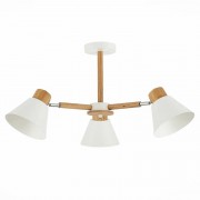 Потолочная люстра Evoluce Buve SLE103702-03