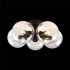 Потолочная люстра Evoluce Rosello SL424.402.05 - изображение 2 Потолочная люстра Evoluce Rosello SL424.402.05 - изображение 2