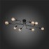 Потолочная люстра Evoluce Ano SL419.442.08 - изображение 15 Потолочная люстра Evoluce Ano SL419.442.08 - изображение 15