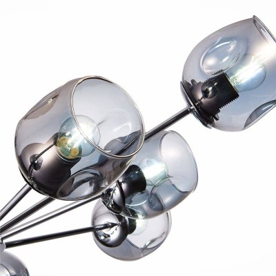Потолочная люстра Evoluce Pallo SLE155402-10 - изображение 2 Потолочная люстра Evoluce Pallo SLE155402-10 - изображение 2