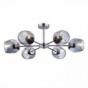 Потолочная люстра Evoluce Pallo SLE155402-06