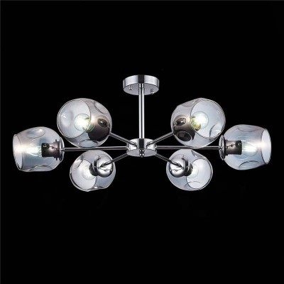 Потолочная люстра Evoluce Pallo SLE155402-06 - изображение 3 Потолочная люстра Evoluce Pallo SLE155402-06 - изображение 3