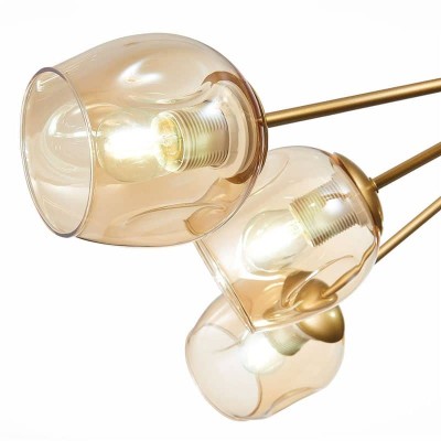 Потолочная люстра Evoluce Pallo SLE155412-10 - изображение 2 Потолочная люстра Evoluce Pallo SLE155412-10 - изображение 2