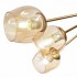 Потолочная люстра Evoluce Pallo SLE155412-10 - изображение 2 Потолочная люстра Evoluce Pallo SLE155412-10 - изображение 2