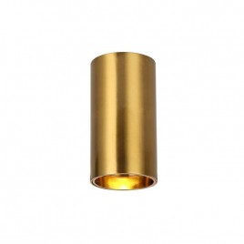 Потолочный светодиодный светильник Favourite Stirpe 2796-1U