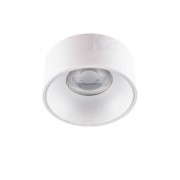 Точечный светильник Kanlux MINI RITI GU10 W/W 27579
