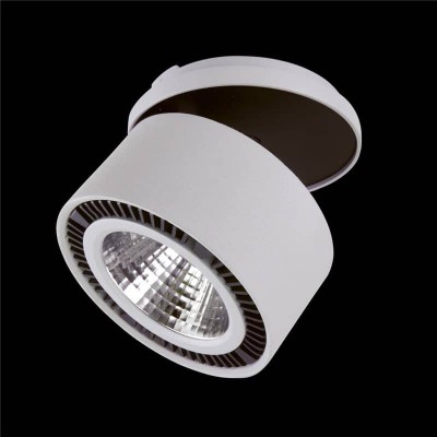 Встраиваемый спот Lightstar Forte Inca 213829 - изображение 3 Встраиваемый спот Lightstar Forte Inca 213829 - изображение 3