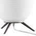 Настольная лампа Lightstar Arnia 805912 - изображение 2 Настольная лампа Lightstar Arnia 805912 - изображение 2