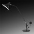 Настольная лампа Lightstar Manti 764907 - изображение 3 Настольная лампа Lightstar Manti 764907 - изображение 3