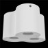 Потолочный светильник Lightstar Binoco 052036 - изображение 2 Потолочный светильник Lightstar Binoco 052036 - изображение 2