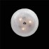 Потолочный светильник Lightstar Zucche 820830 - изображение 3 Потолочный светильник Lightstar Zucche 820830 - изображение 3