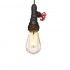 Подвесной светильник Loft IT Loft6121 - изображение 2 Подвесной светильник Loft IT Loft6121 - изображение 2