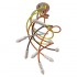Подвесная люстра Loft IT Roots Loft1714-RGB - изображение 4 Подвесная люстра Loft IT Roots Loft1714-RGB - изображение 4